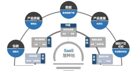 36氪首發 |「中農普惠」獲4000萬元pre-A輪融資,從種植管理SaaS切入果蔬供應鏈服務