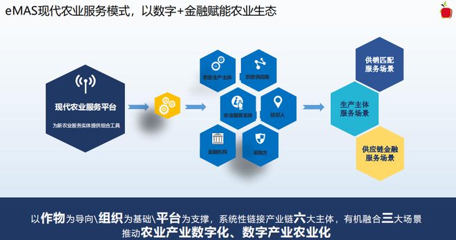 農產品|產業鏈|蘋果公司|財務會計|財務報表|市場規模_.