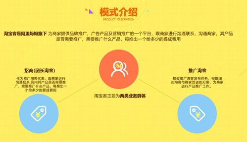 淘寶聯(lián)盟招商團(tuán)長(zhǎng)管理系統(tǒng)的功能介紹