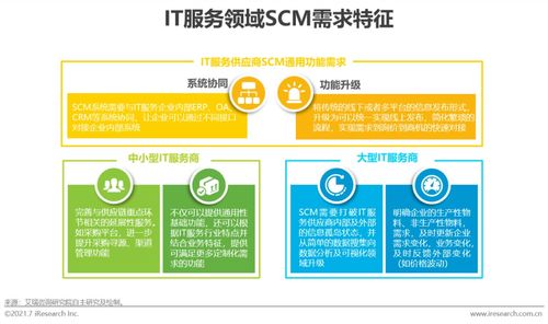 2021年中國it服務供應鏈數字化升級研究報告
